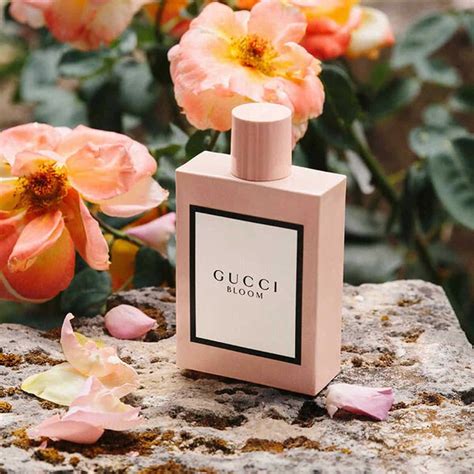 nước hoa gucci bloom mùi nào thơm nhất|nước Gucci hoa.